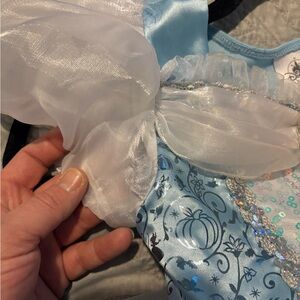Cinderella Disney Princess Dress.
